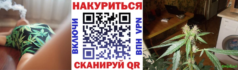 Конопля Зубцов