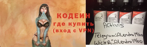 меф Вяземский