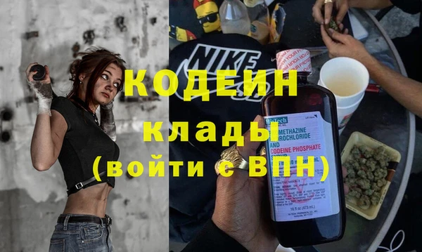 мдпв Горнозаводск