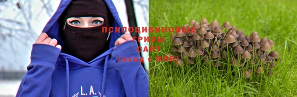 меф Вяземский