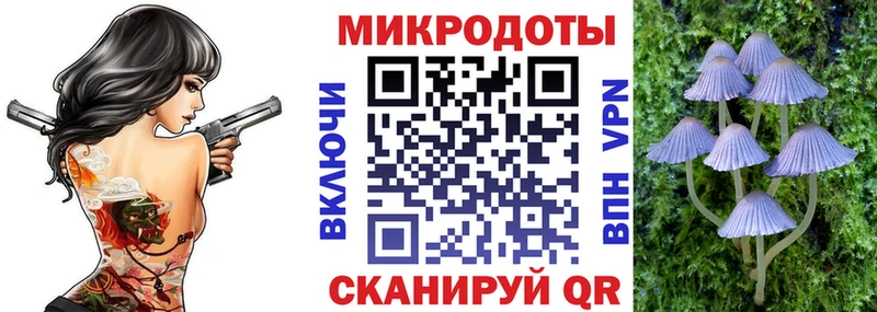 Псилоцибиновые грибы Psilocybine cubensis  Зубцов 